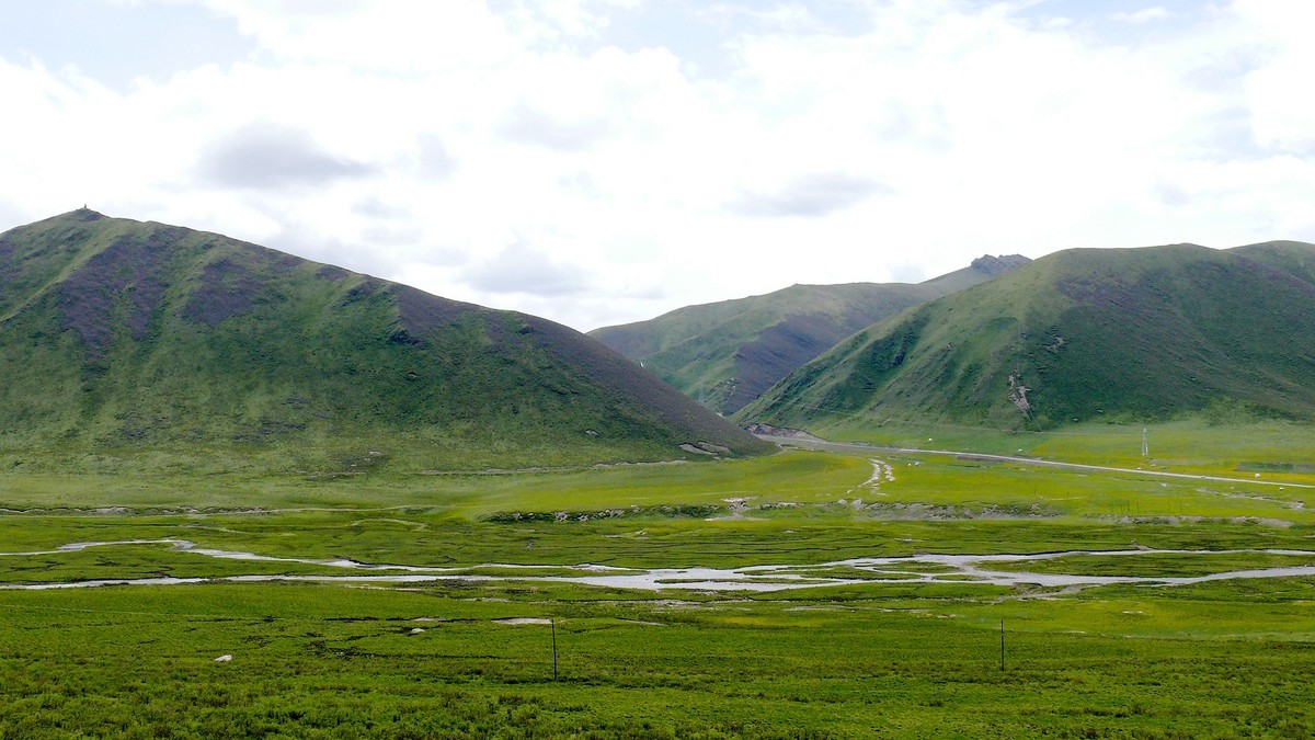 年宝玉则草原（青海年宝玉则景区已经关闭，山那边是四川莲宝叶则）