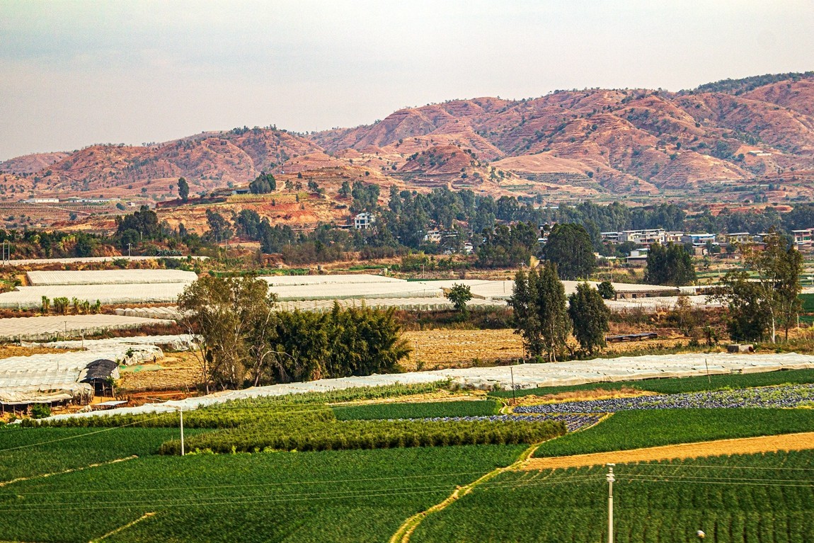 坐着火车到版纳沿途风光【10】