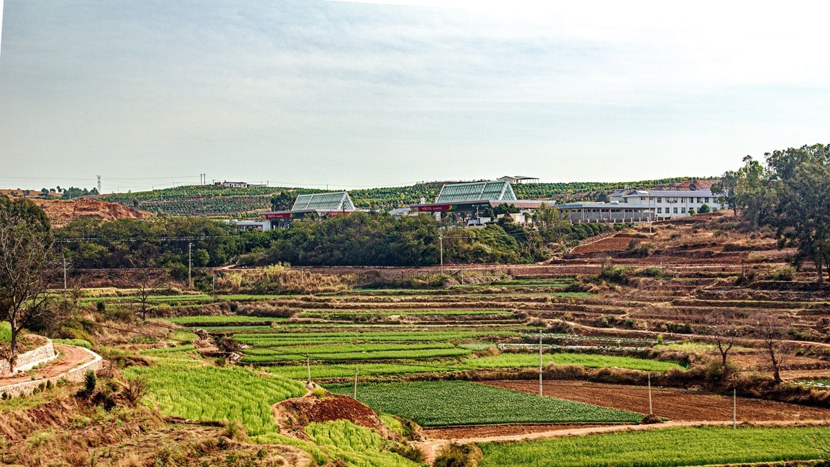 坐着火车到版纳沿途风光【10】