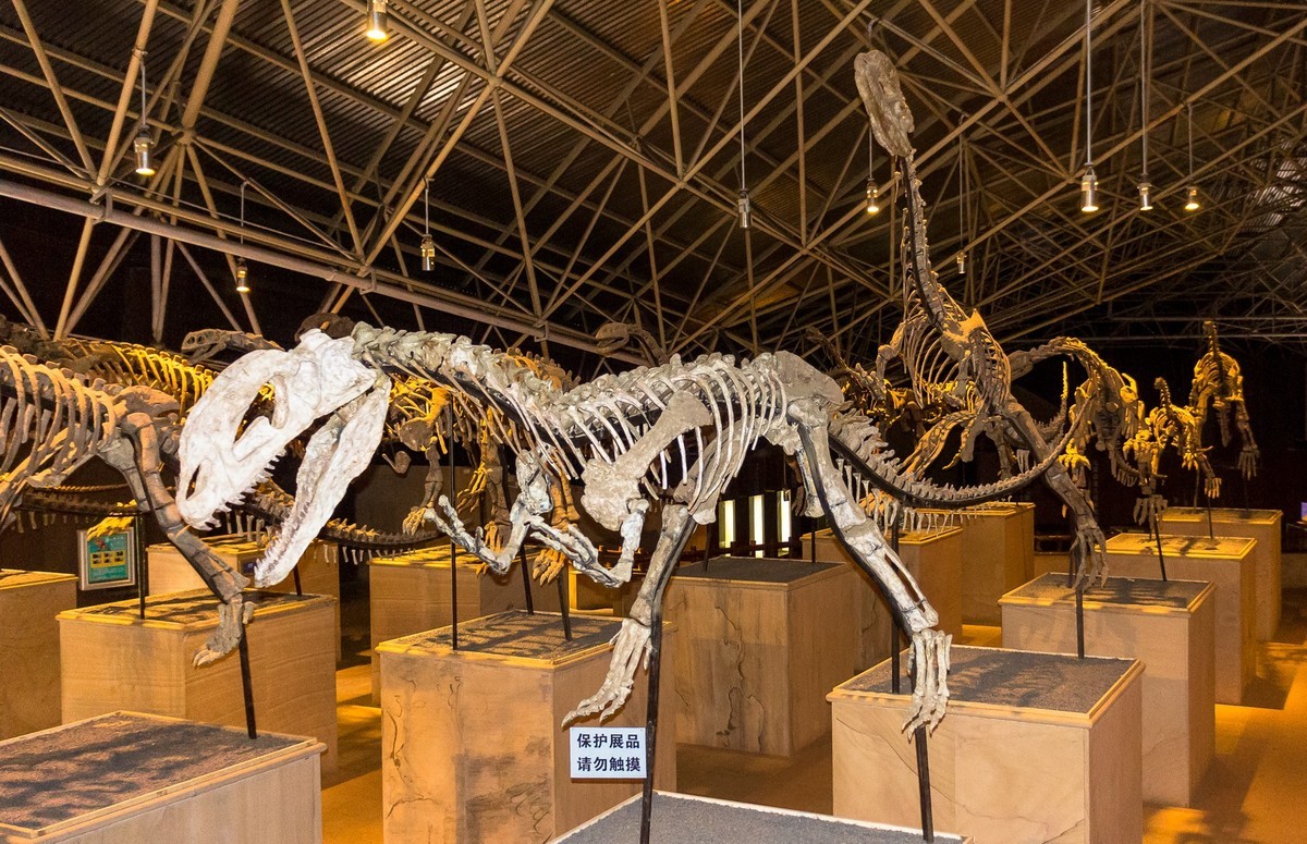 云南祿丰—世界恐龙谷