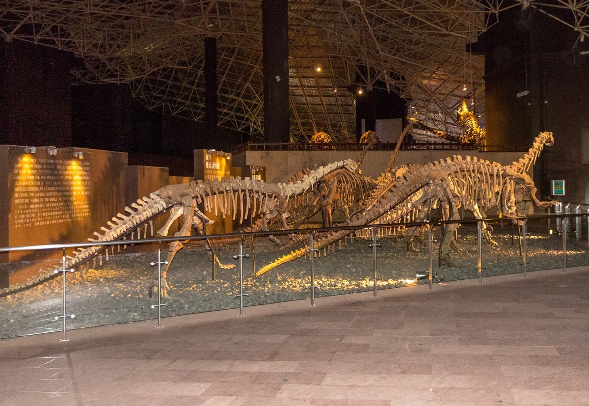 云南祿丰—世界恐龙谷