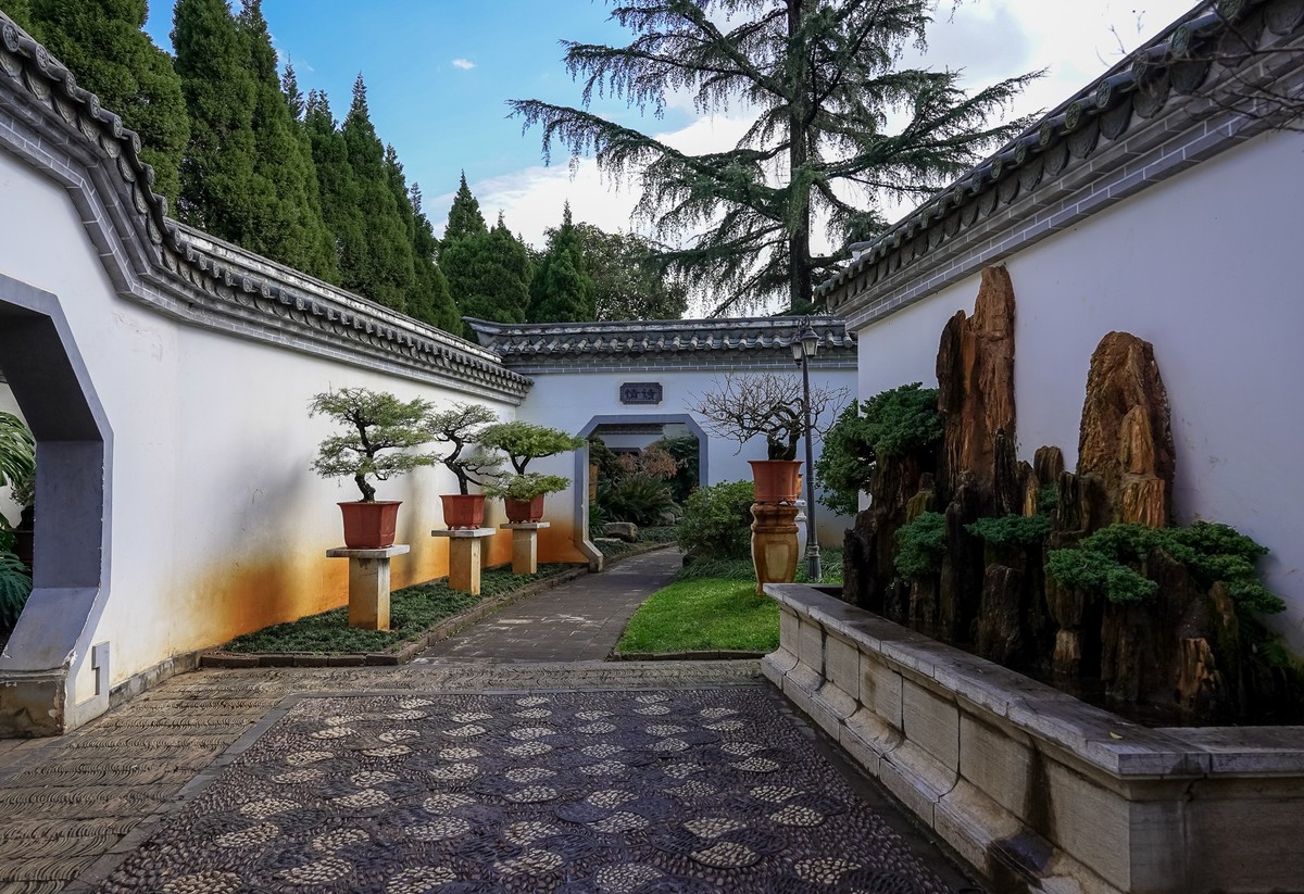 冬游大观公园（五）