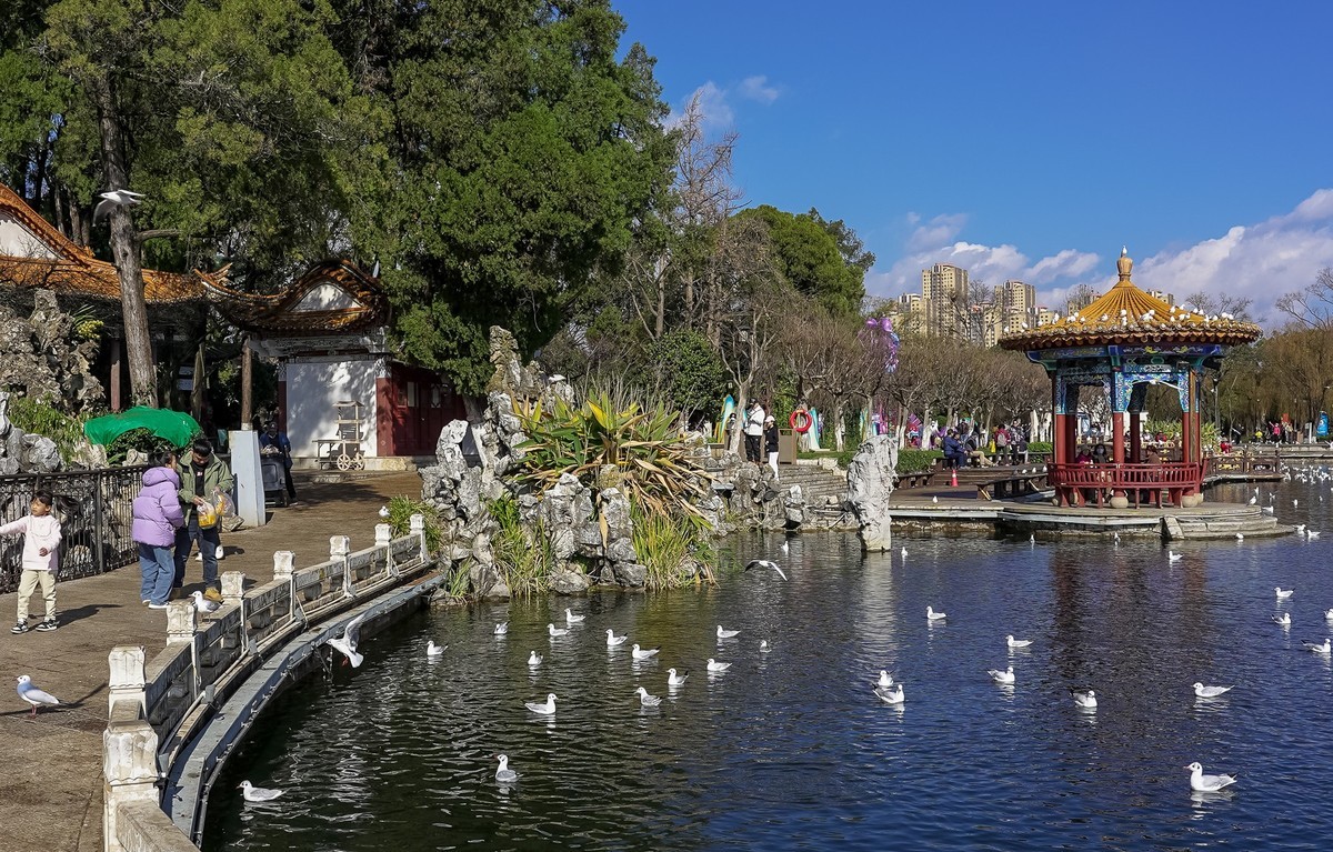 冬游大观公园（五）
