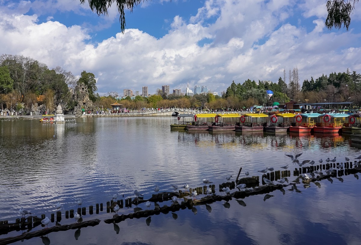 冬游大观公园（五）