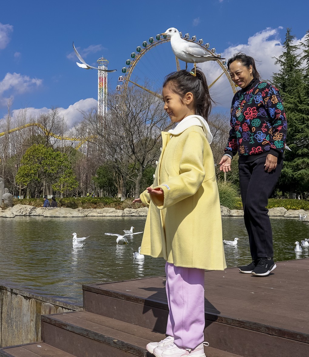 冬游大观公园（五）
