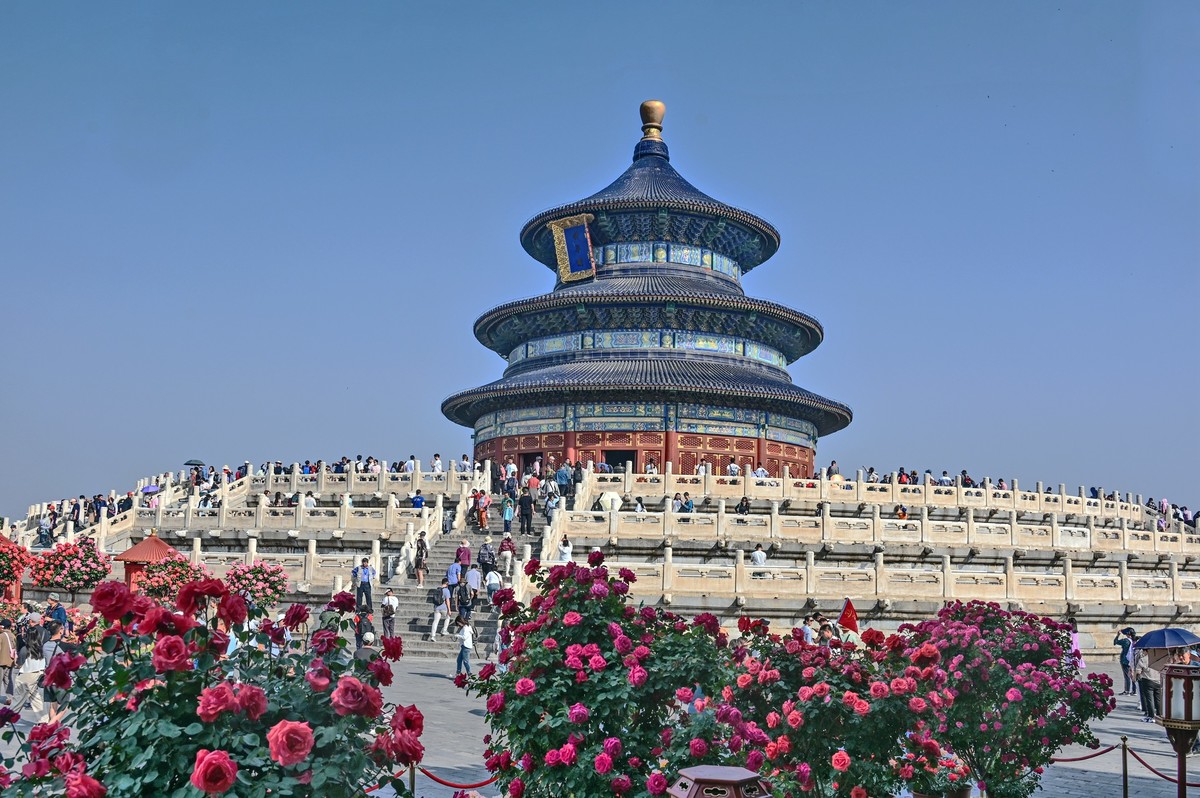 月季花开月月红