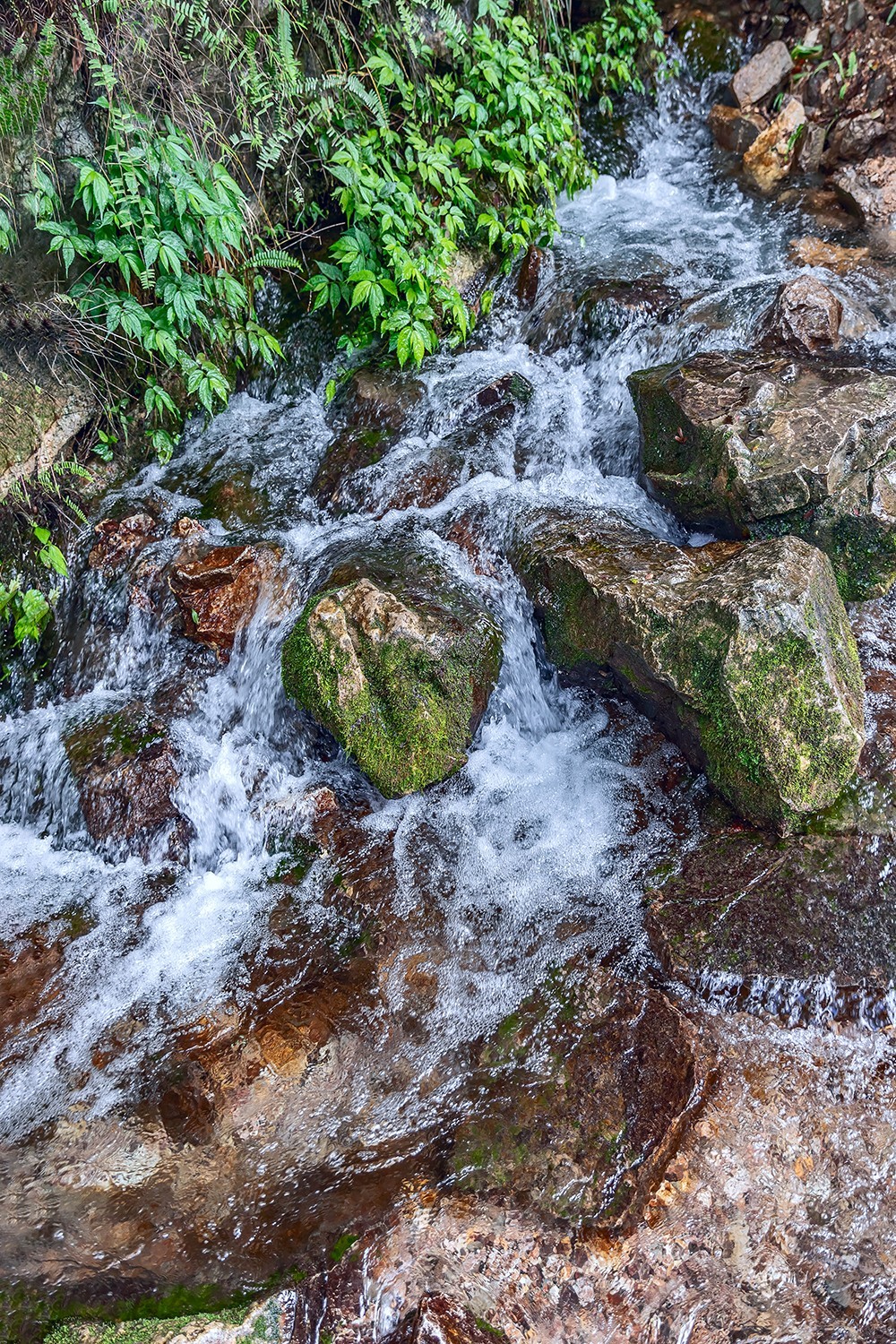 旅游记录 ：贵州 · 黔南布依族苗族自治州 · 荔波 · 荔波景区（一）