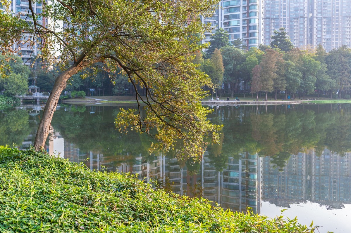 佛山市亚洲艺术公园