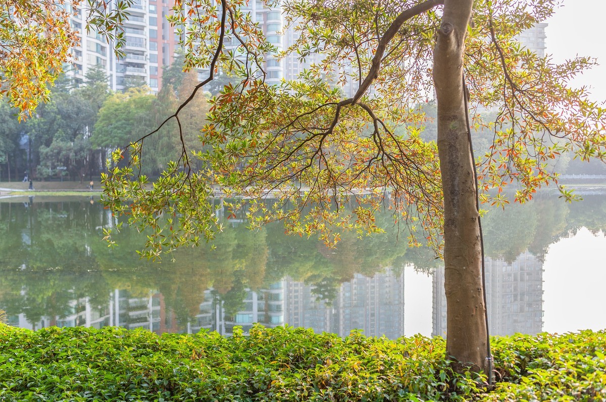 佛山市亚洲艺术公园