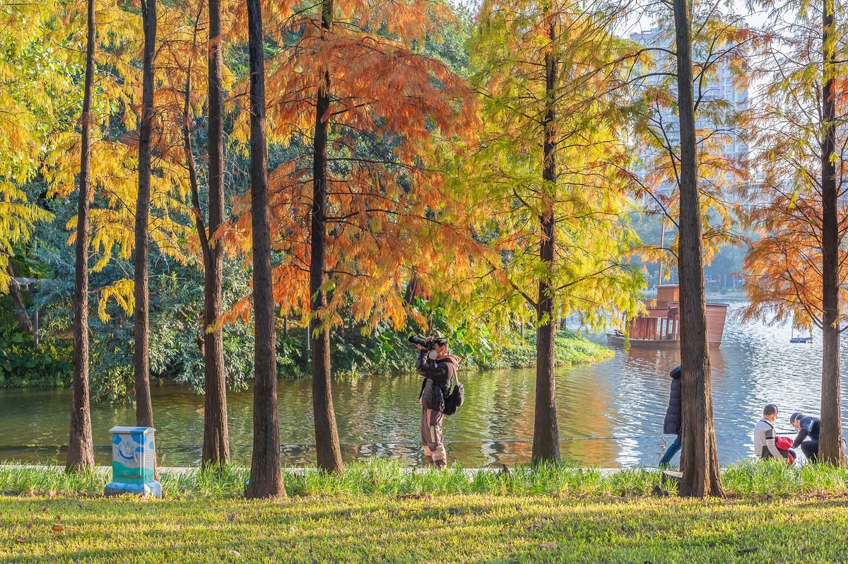 佛山市亚洲艺术公园