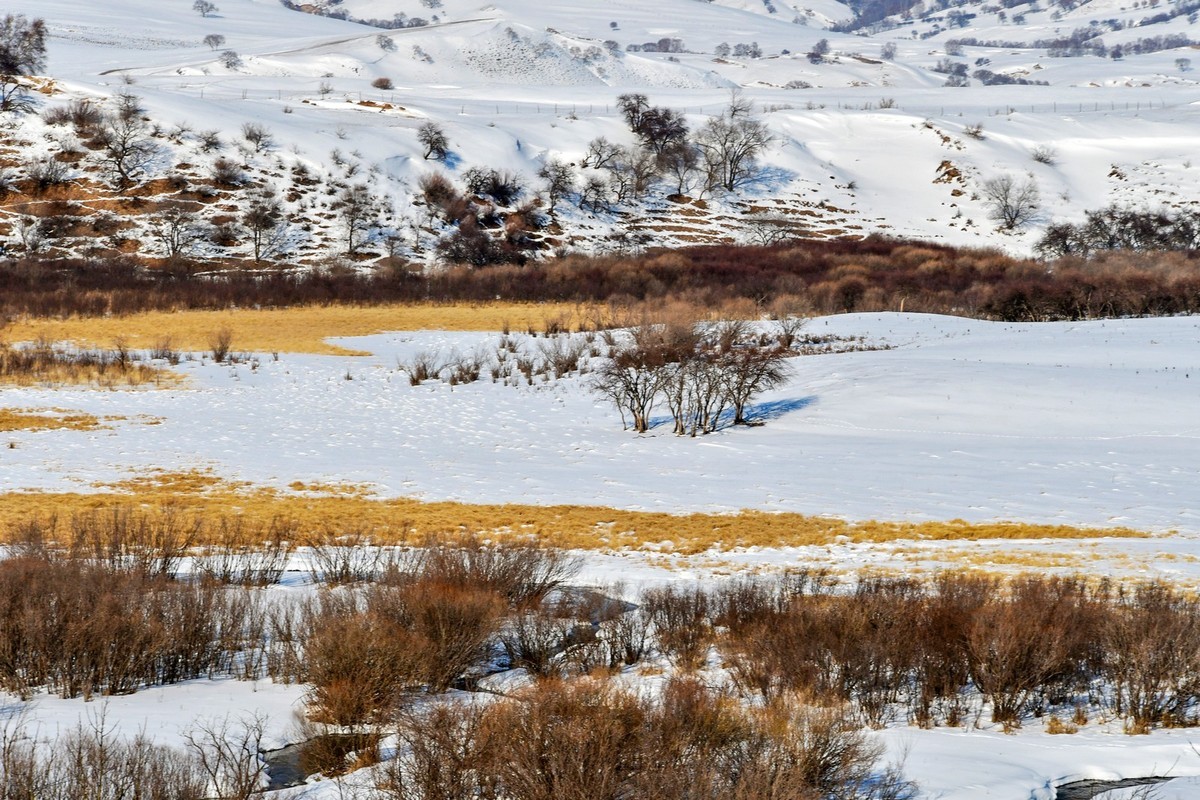 我只是把出去看到的随手记录下来（105）