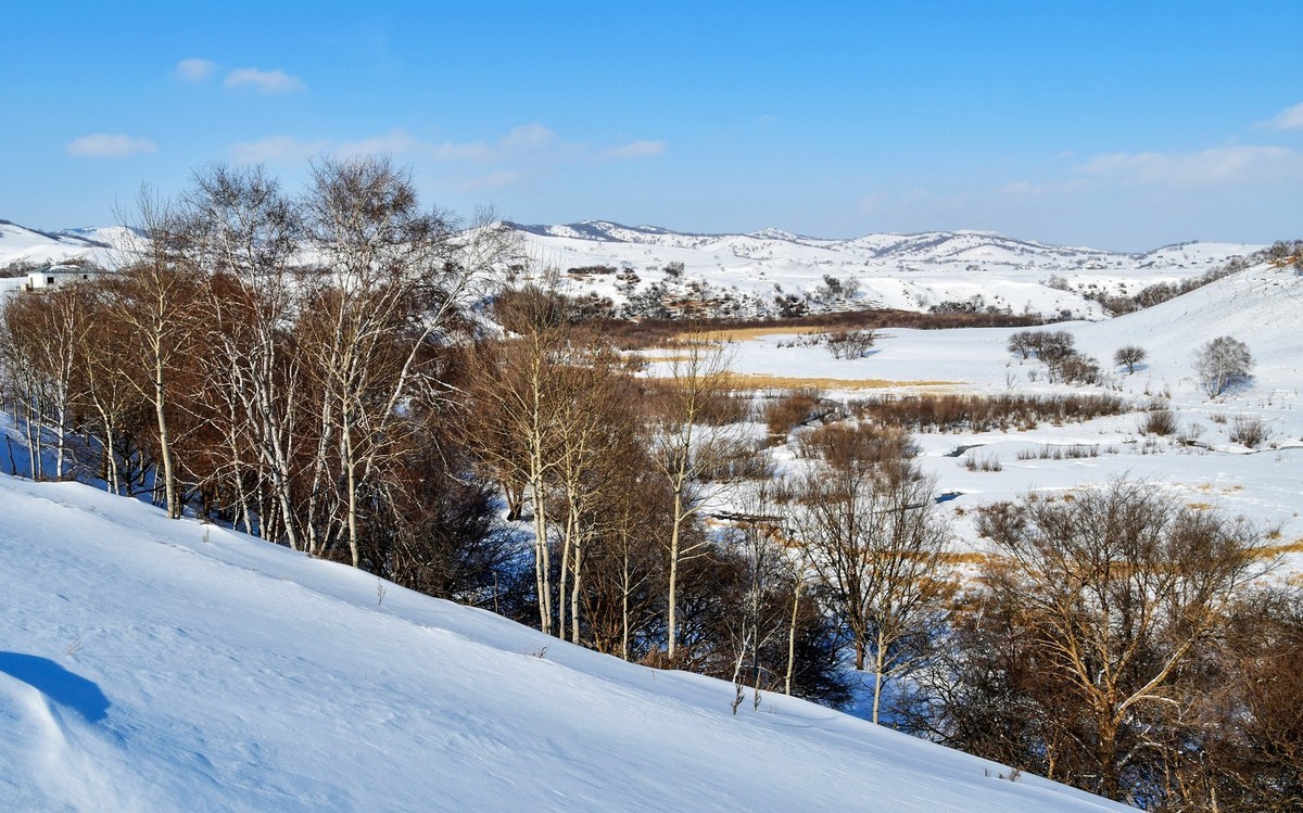 我只是把出去看到的随手记录下来（105）