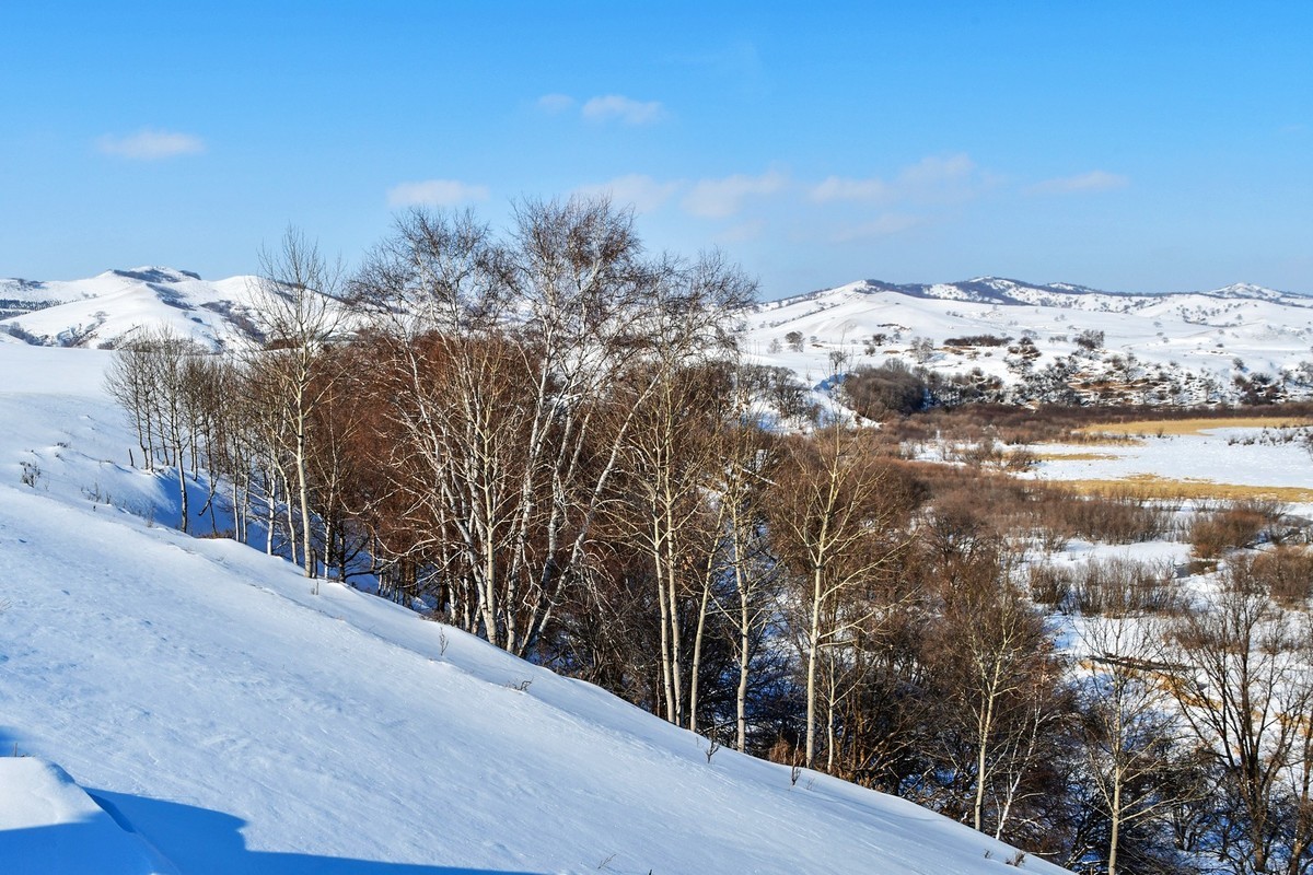 我只是把出去看到的随手记录下来（105）