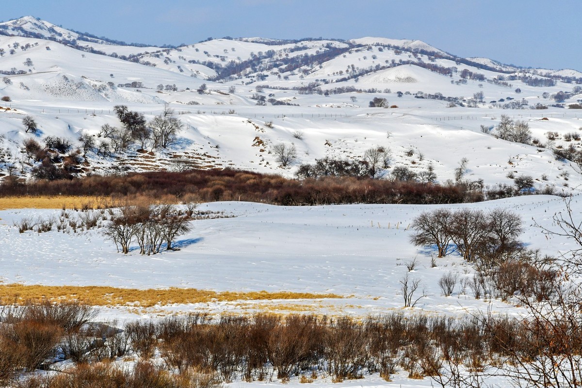 我只是把出去看到的随手记录下来（105）