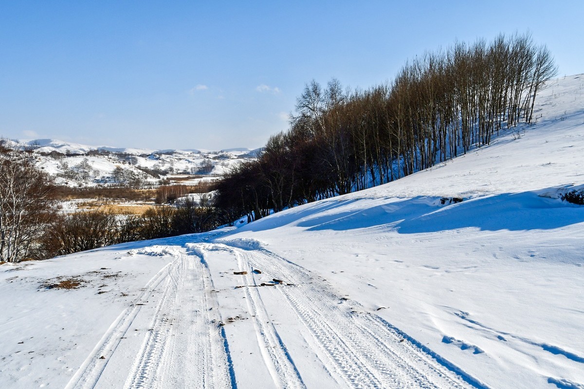 我只是把出去看到的随手记录下来（105）