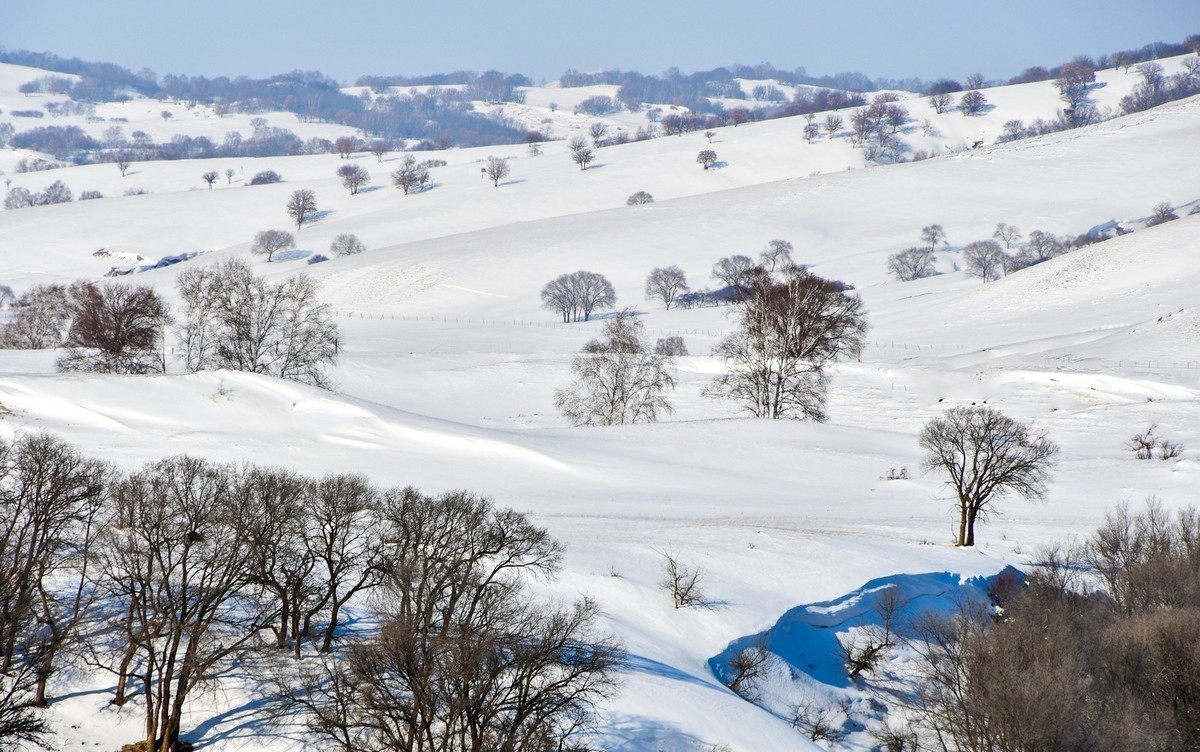 我只是把出去看到的随手记录下来（105）