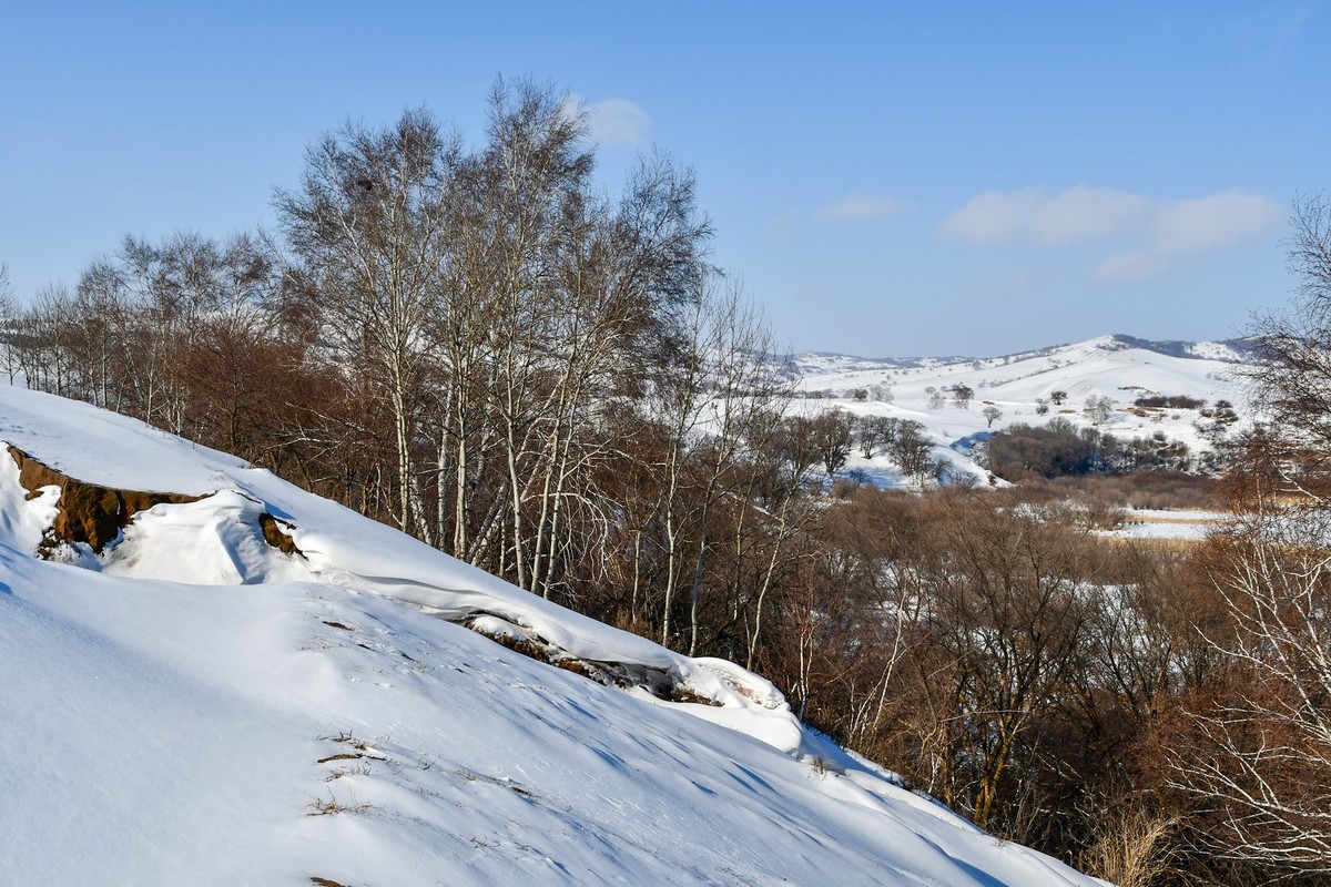 我只是把出去看到的随手记录下来（105）