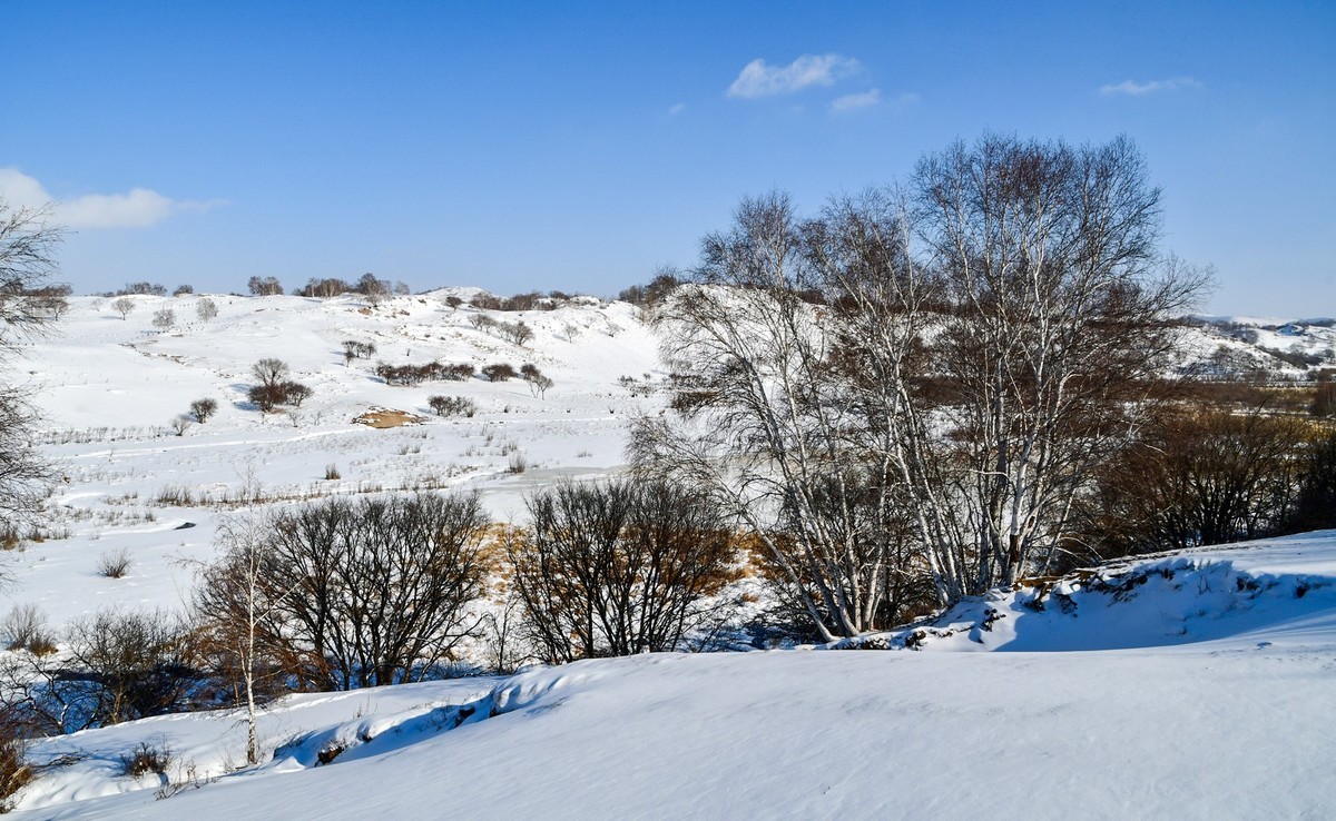 我只是把出去看到的随手记录下来（105）