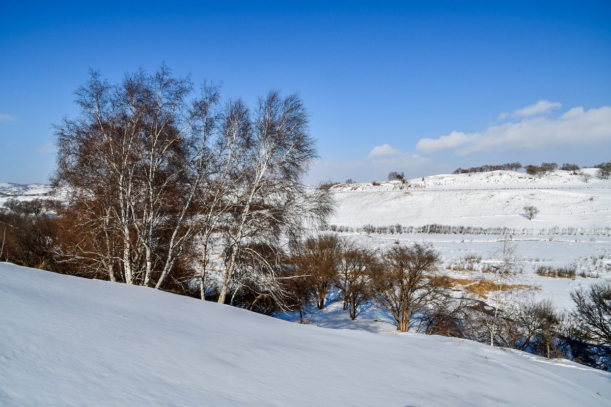 我只是把出去看到的随手记录下来（105）