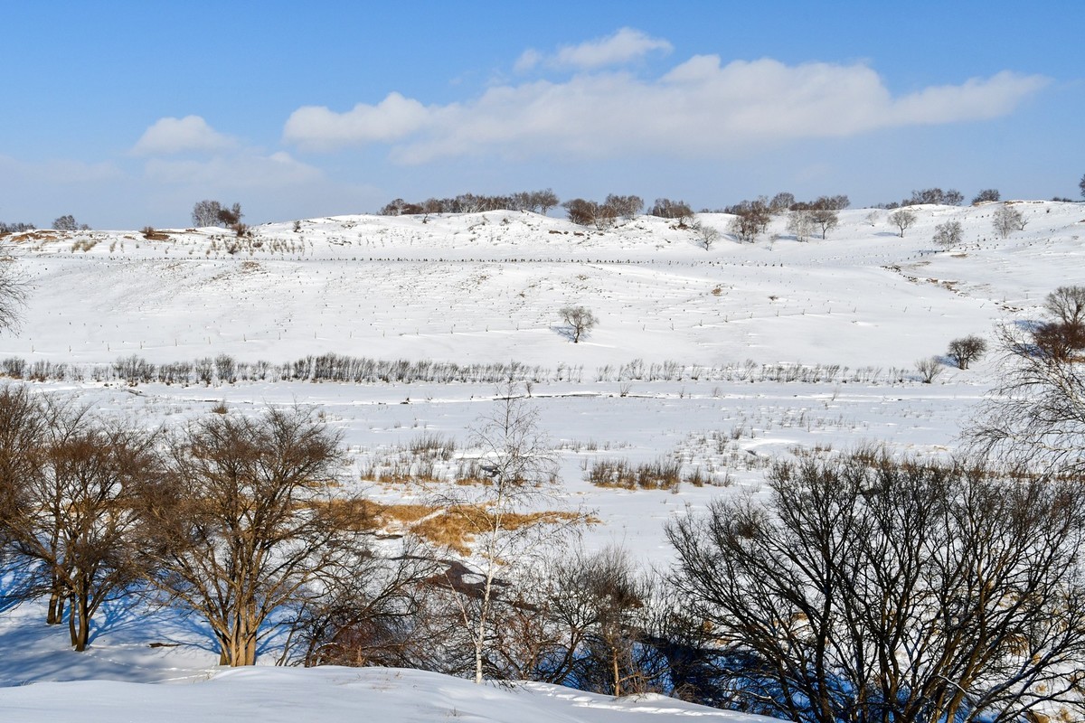 我只是把出去看到的随手记录下来（105）