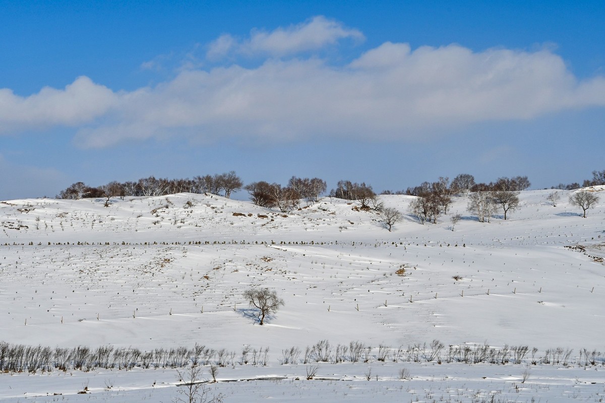 我只是把出去看到的随手记录下来（105）