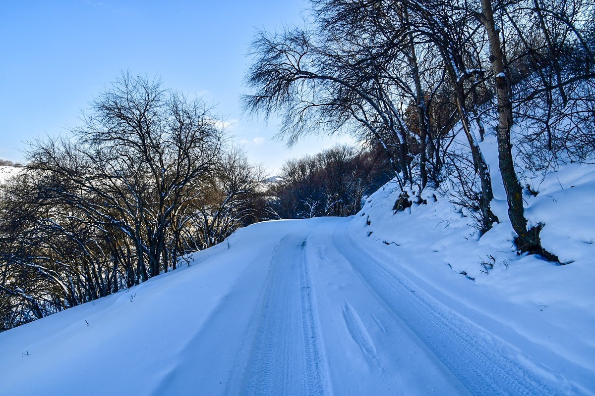 我只是把出去看到的随手记录下来（105）
