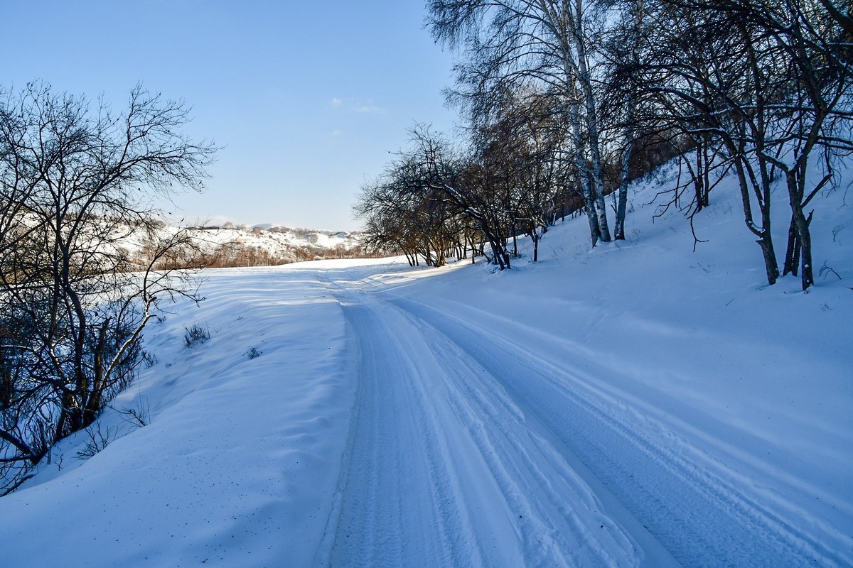 我只是把出去看到的随手记录下来（105）