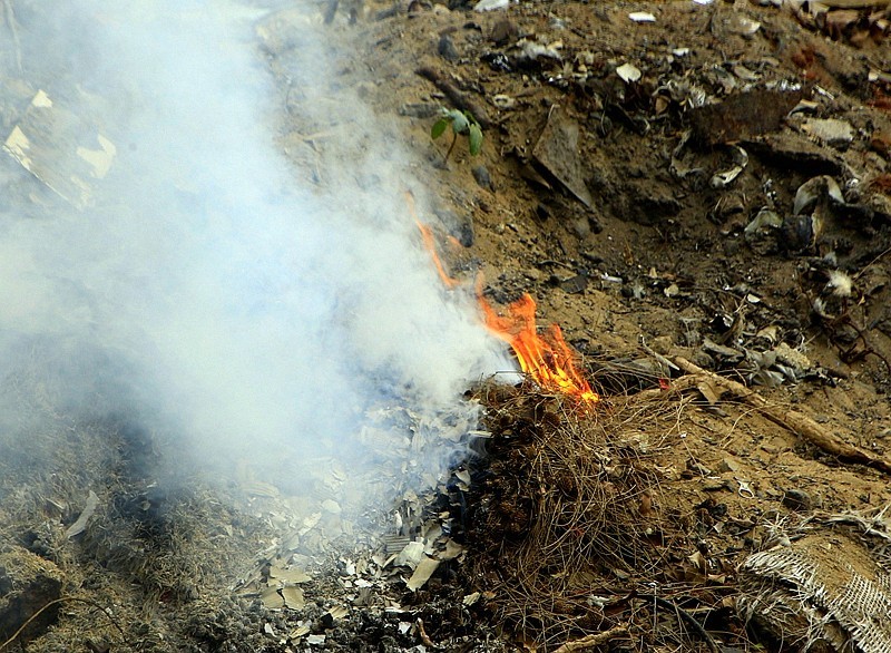 《不老松：忆海南游记》(18)农村也大搞环境卫生