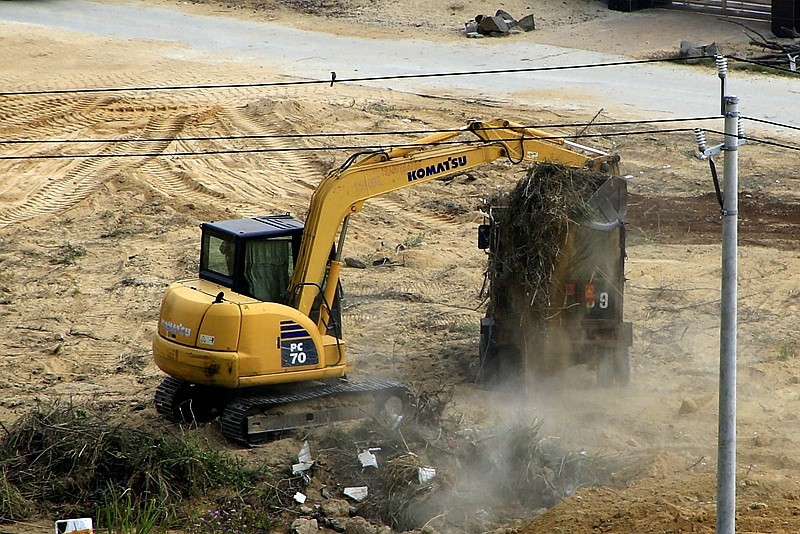 《不老松：忆海南游记》(18)农村也大搞环境卫生