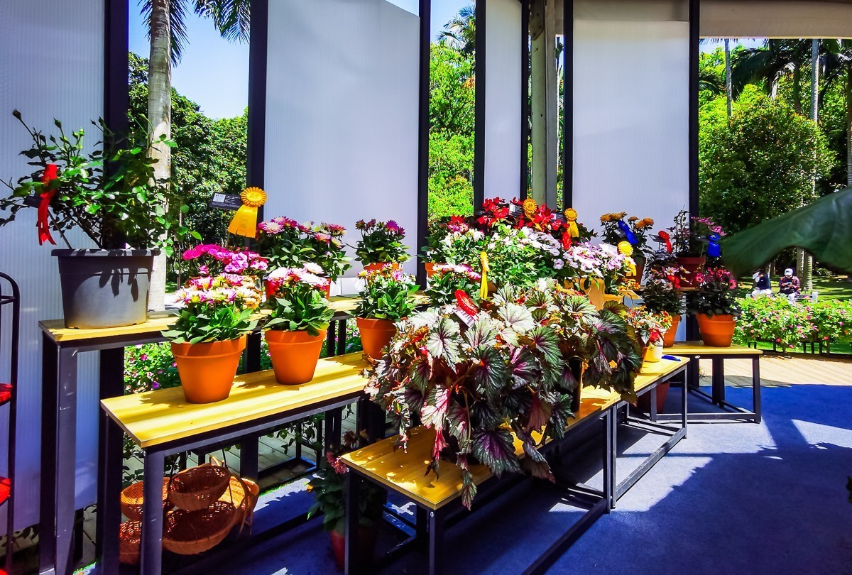 深圳仙湖植物园掠影