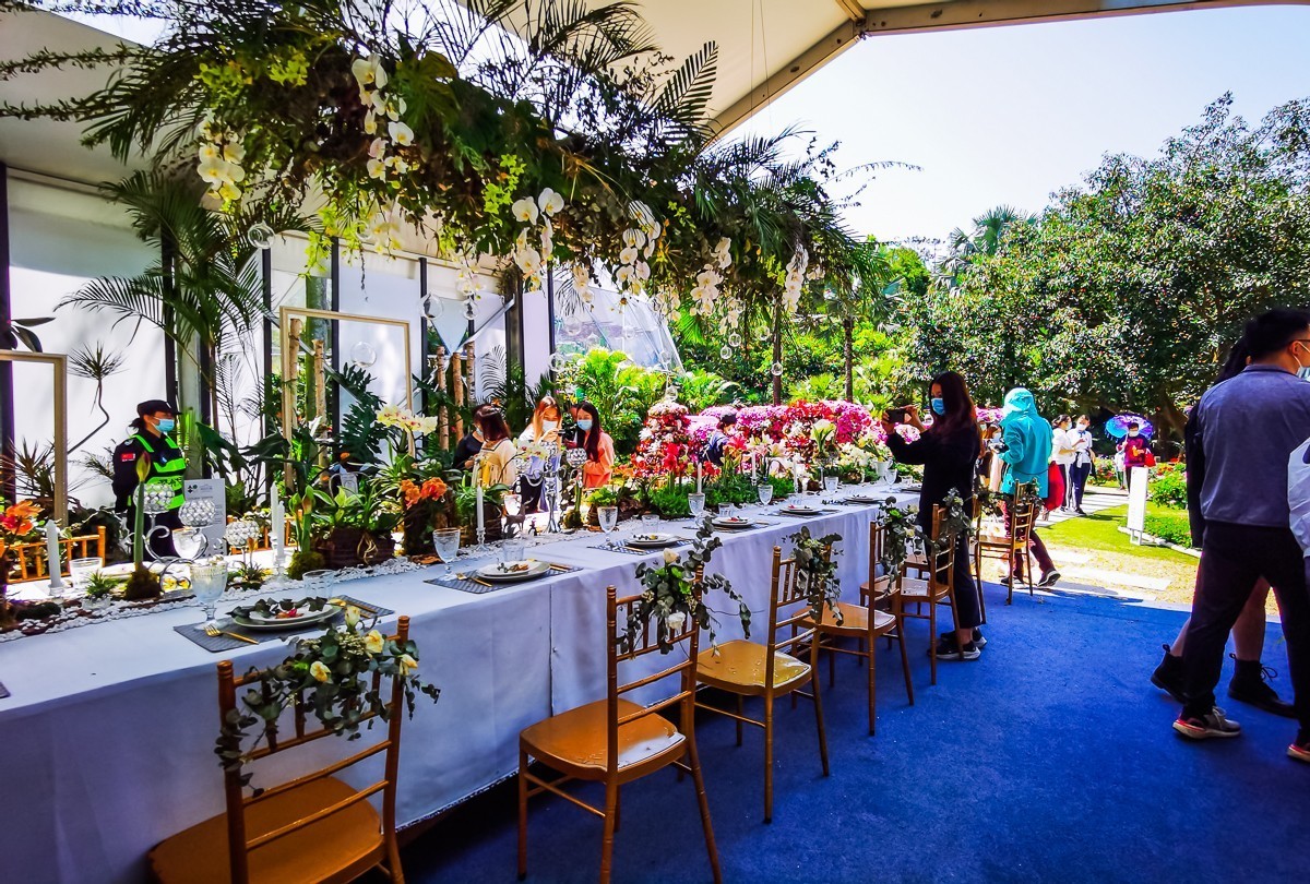 深圳仙湖植物园掠影