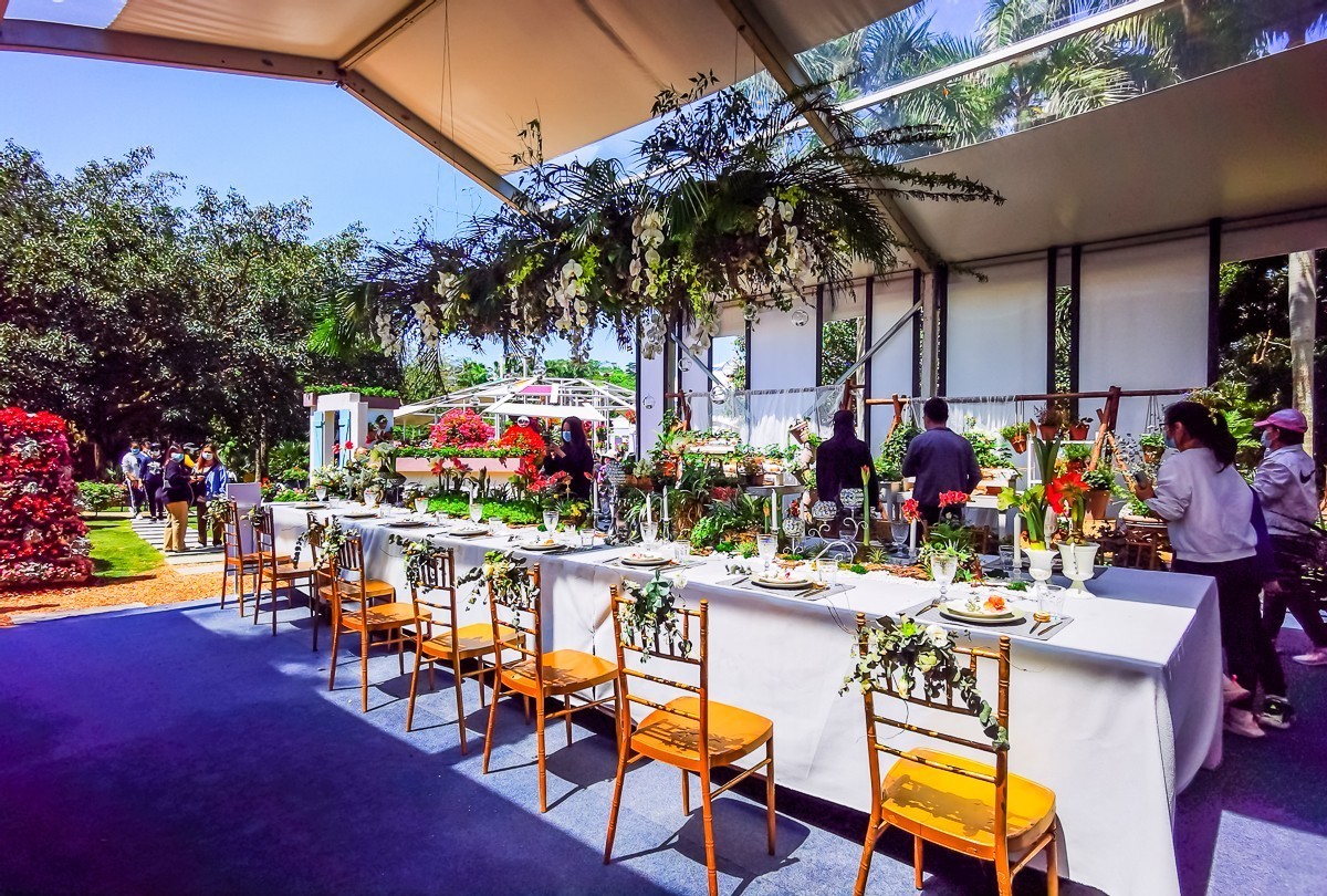 深圳仙湖植物园掠影