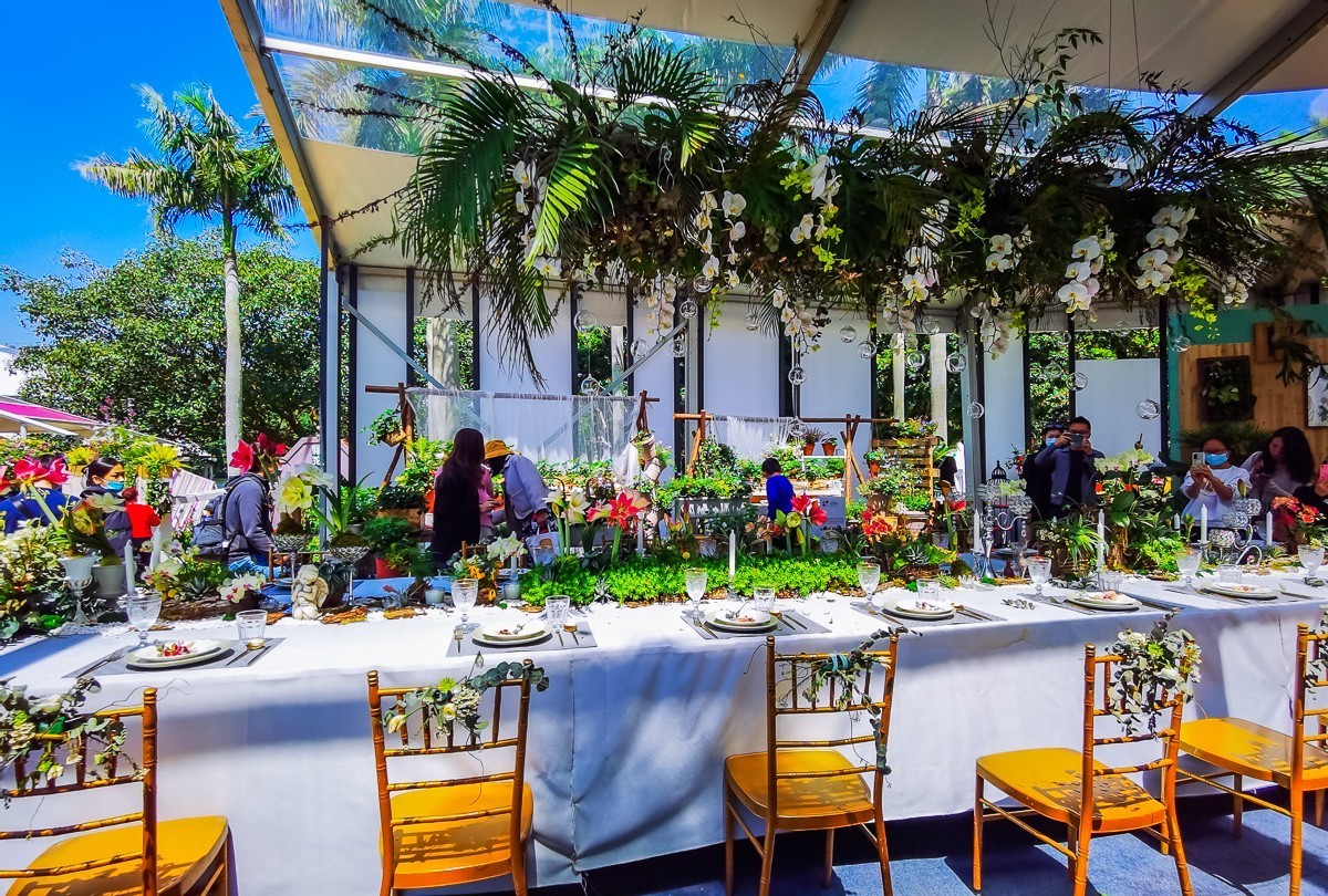 深圳仙湖植物园掠影