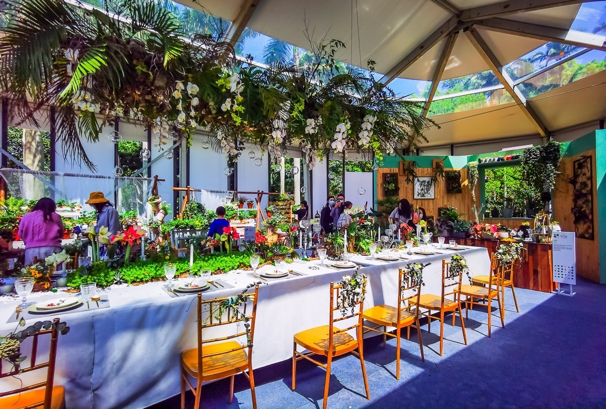 深圳仙湖植物园掠影