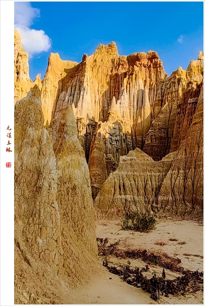 2023年第0003贴-云南元谋土林-003(0101F)-中关村在线摄影论坛