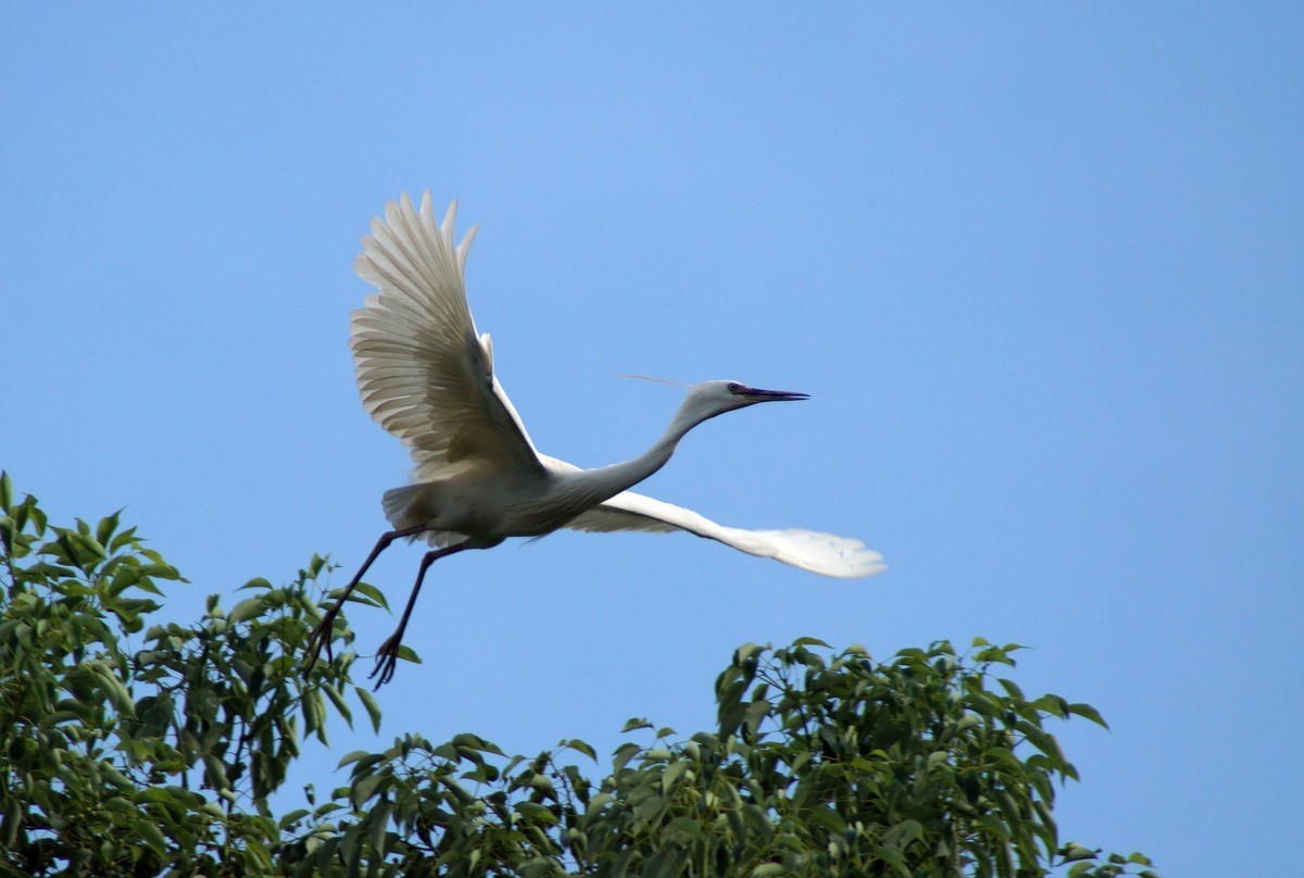 〖 展 翅 飞 翔 〗
