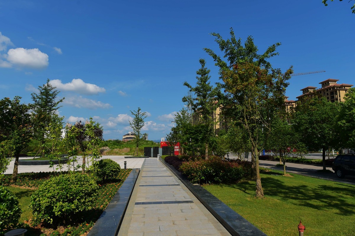 一组原片直出皖南风光宁国滨江公园3