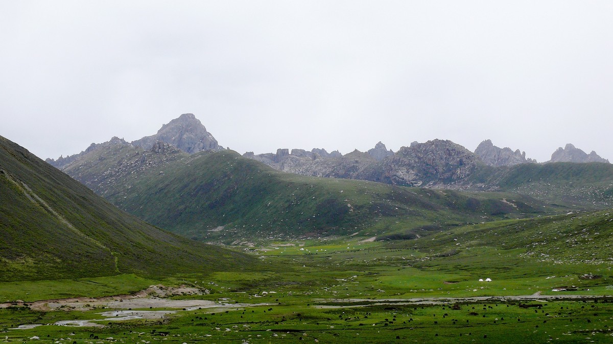 年宝玉则草原（青海年宝玉则景区已经关闭，山那边是四川莲宝叶则）
