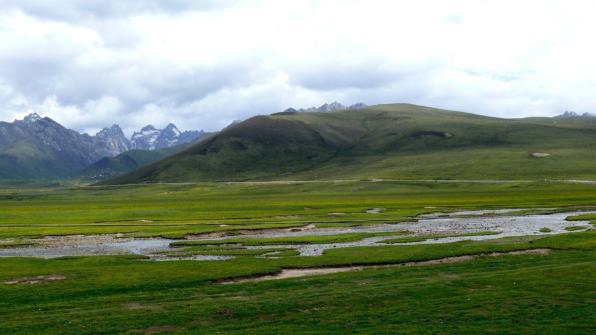 年宝玉则草原（青海年宝玉则景区已经关闭，山那边是四川莲宝叶则）