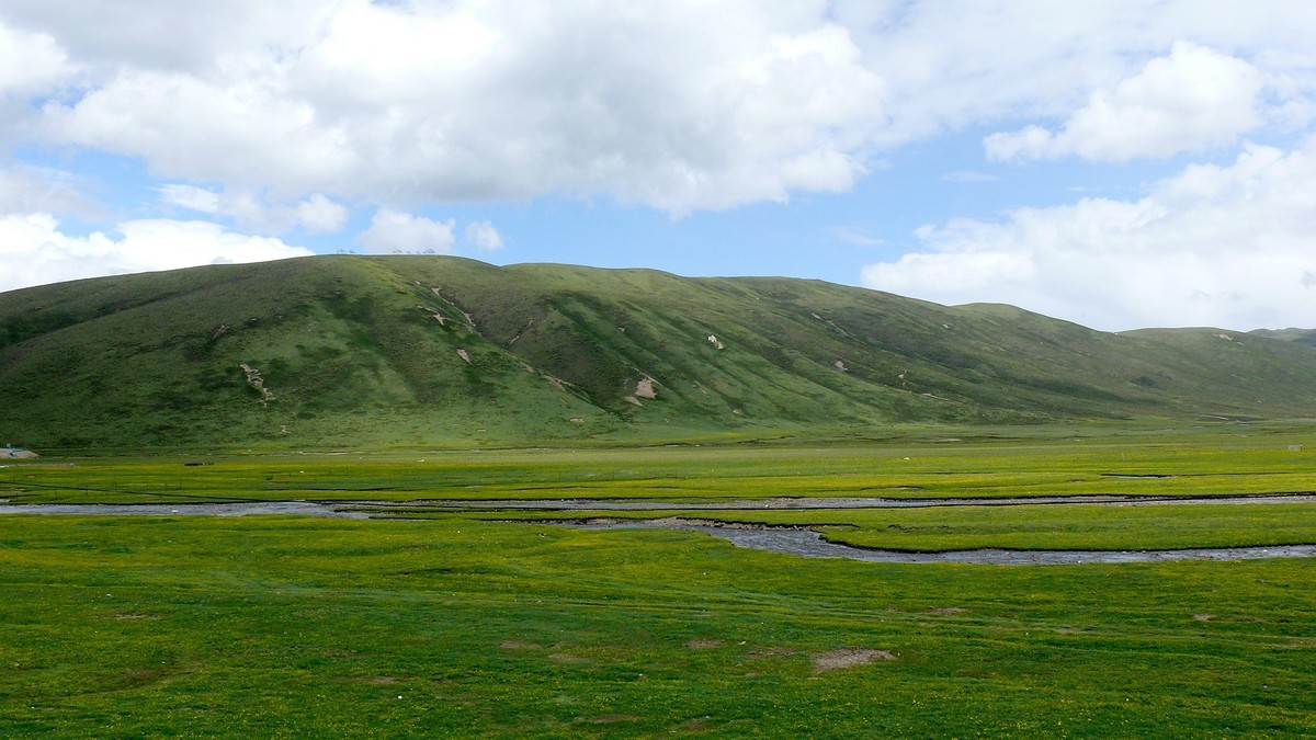 年宝玉则草原（青海年宝玉则景区已经关闭，山那边是四川莲宝叶则）