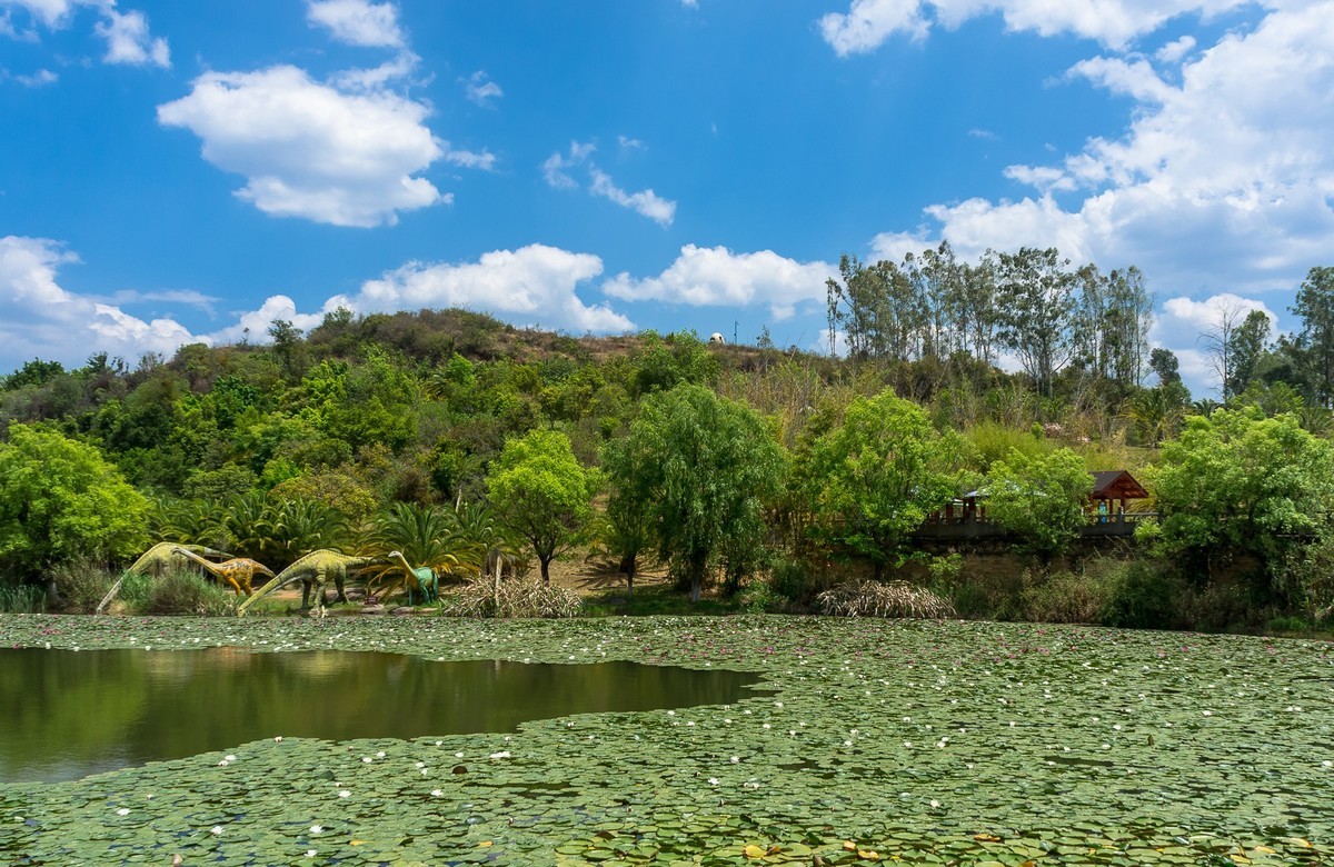 云南祿丰—世界恐龙谷