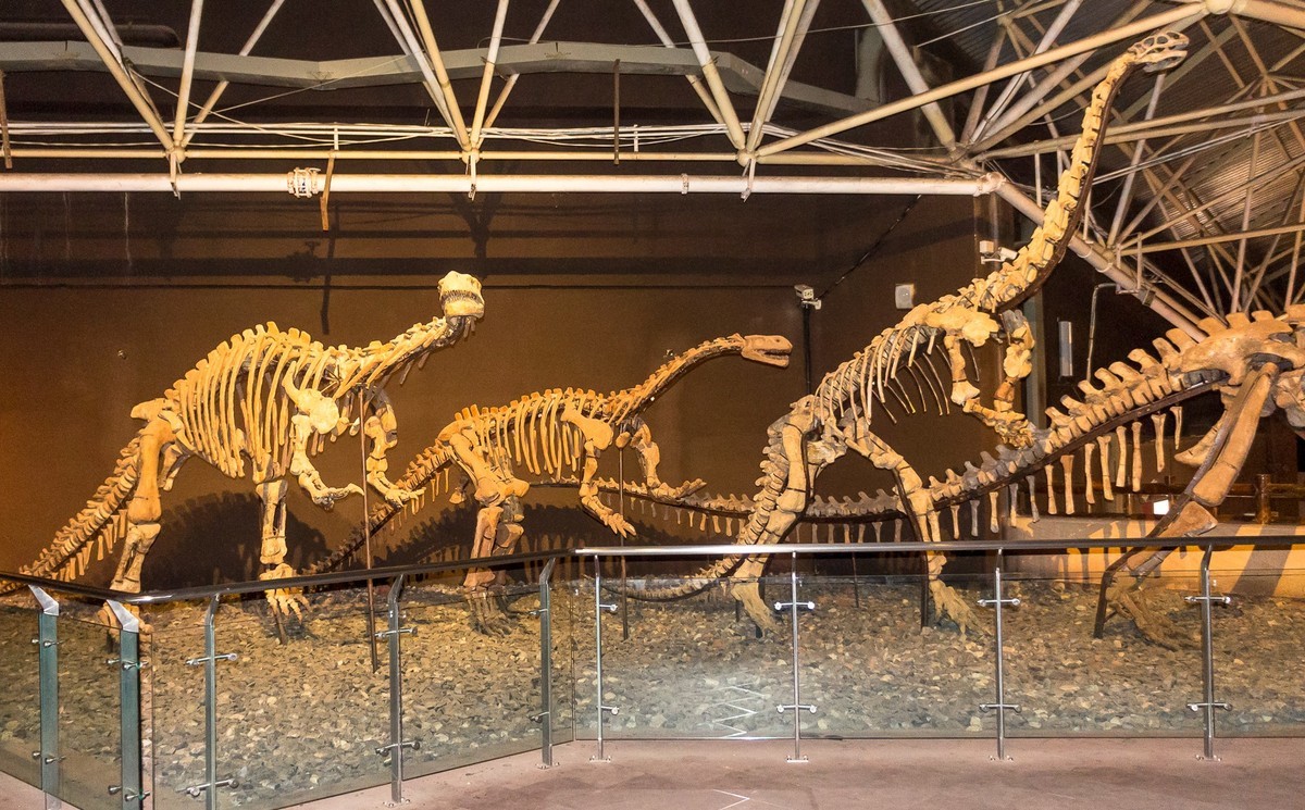 云南祿丰—世界恐龙谷