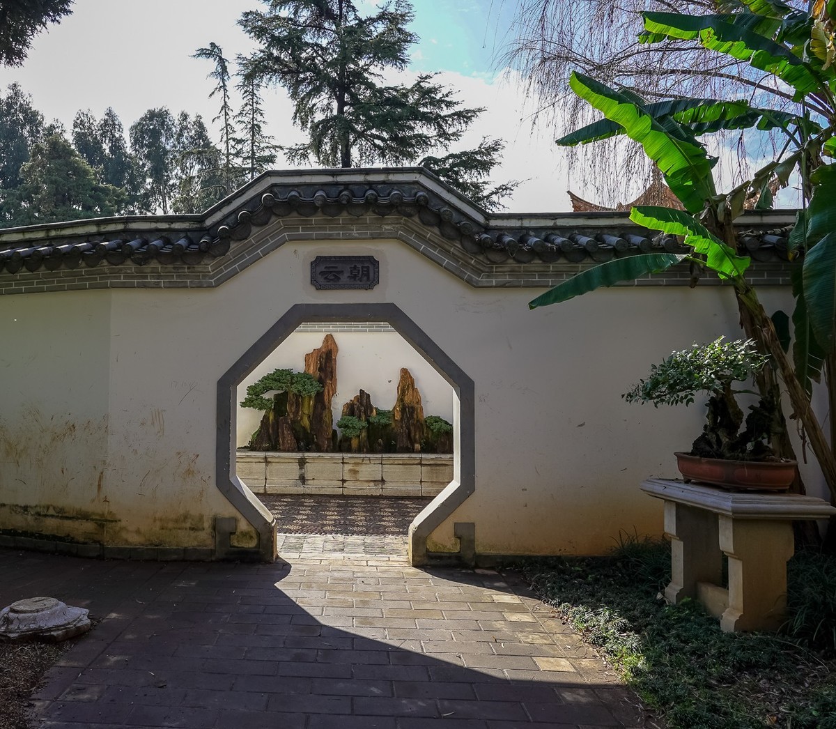 冬游大观公园（五）