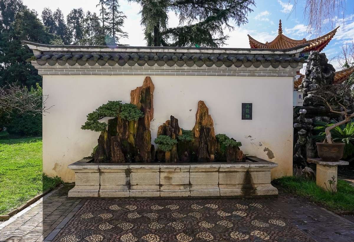 冬游大观公园（五）