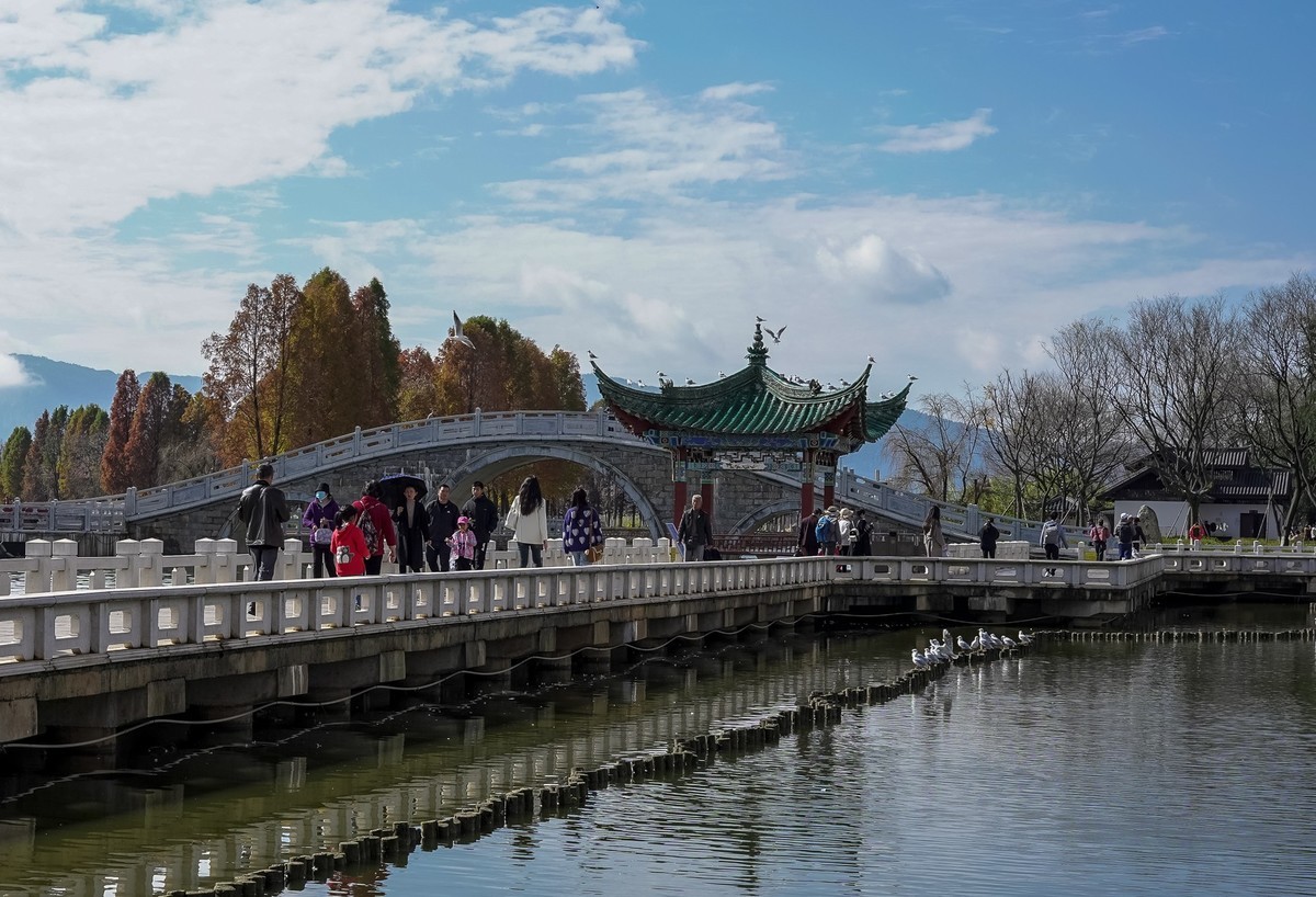 冬游大观公园（五）