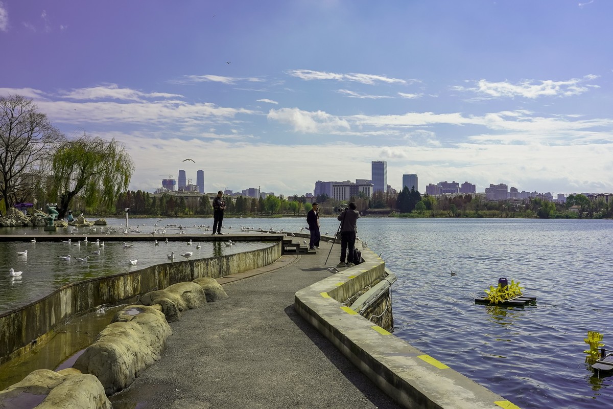 冬游大观公园（五）