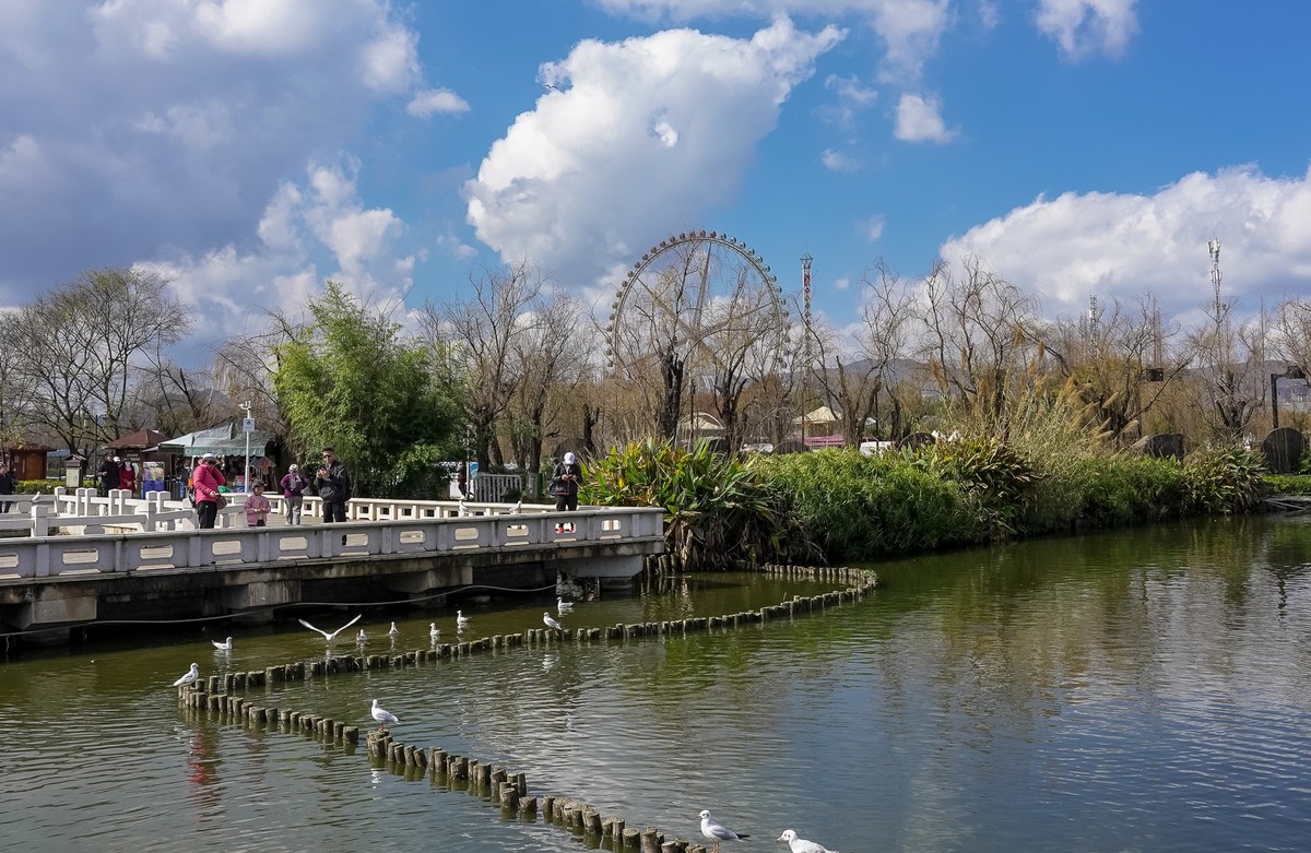 冬游大观公园（五）