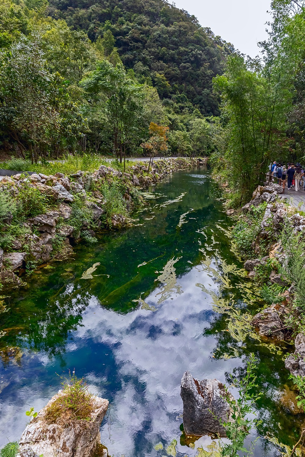 旅游记录 ：贵州 · 黔南布依族苗族自治州 · 荔波 · 荔波景区（一）