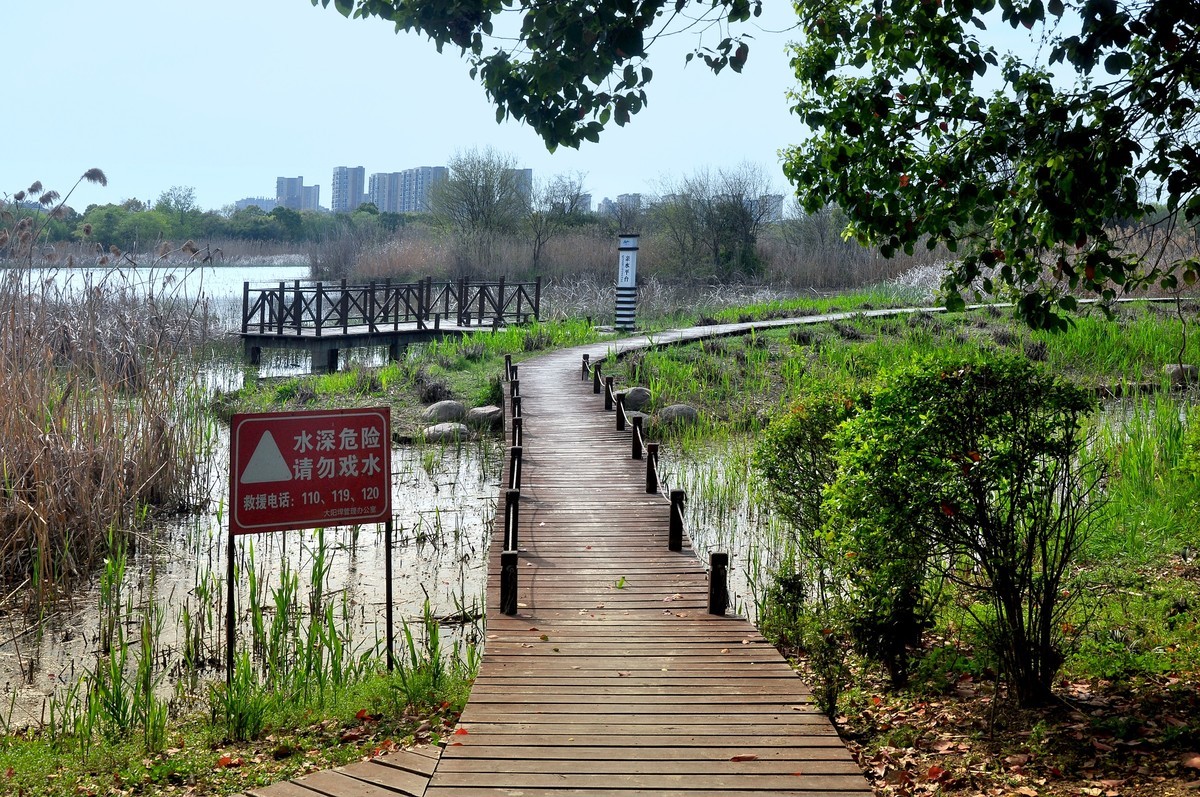 芜湖大阳垾公园要门票图片