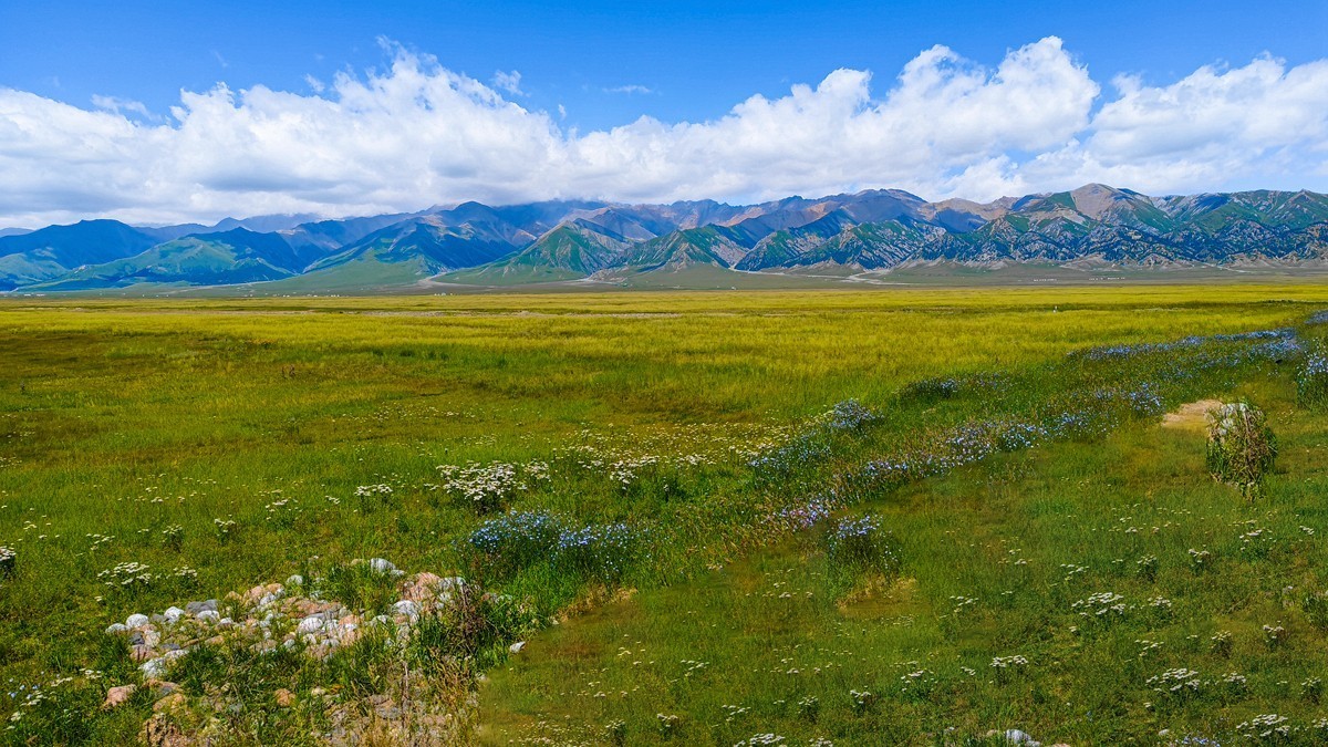 大美新疆——赛里木湖2